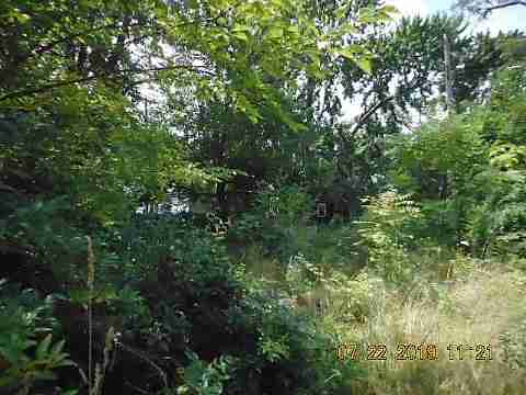 11375 Belleterre (6)_m.jpg